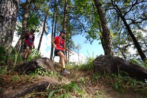 BIB: 
                            <button type="button" onclick="openModal(18888240)" class="btn btn-primary btn-sm float-right btn-popup" data-toggle="modal" data-target=".modal-high-quality">
                        <i class="fas fa-shopping-cart"></i> Add to Cart
                    </button>
                                            <button type="button" onclick="isThisMe(18888240, true)" class="btn btn-success btn-sm float-right btn-popup btn-isme hidden" data-toggle="tooltip" data-placement="bottom" title="นี่คือรูปของคุณใช่ไหม คลิกที่นี่เพื่อเอาเข้าอัลบั้ม">
                        <i class="fas fa-plus"></i> Add to album
                    </button>
                    <button type="button" onclick="isThisMe(18888240, false)" class="btn btn-warning btn-sm float-right btn-popup btn-isnotme hidden">
                        <i class="fas fa-ban"></i> Remove from album
                    </button>